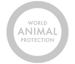 World Animal Protection