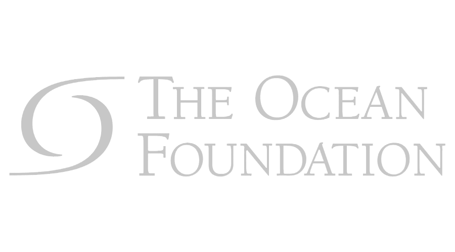 The Ocean Foundation