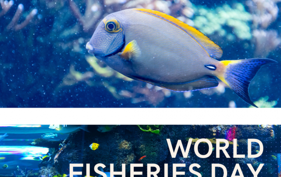 WORLD FISHERIES DAY 2021