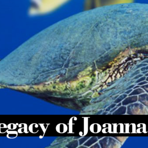 Keeping The Legacy of Joanna Toole Alive
