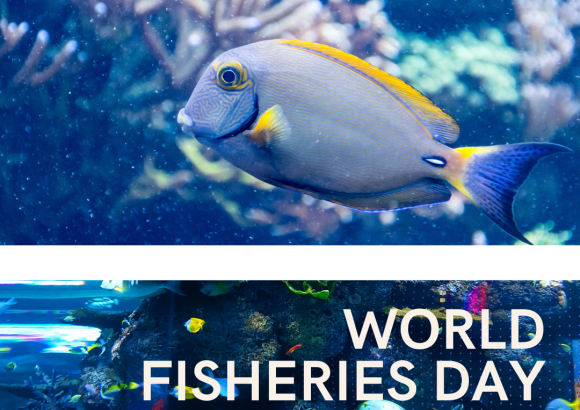 WORLD FISHERIES DAY 2021