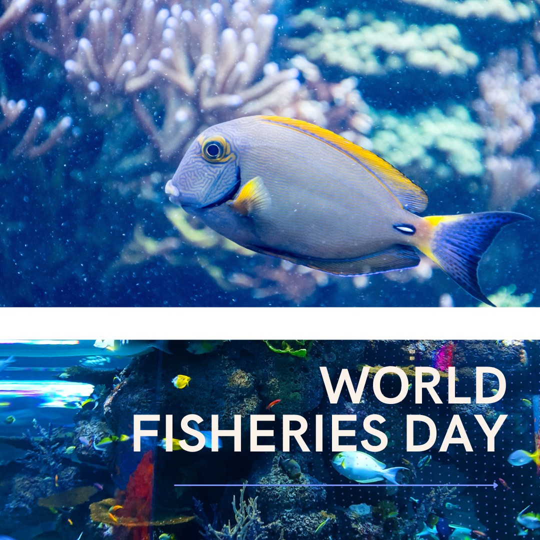 WORLD FISHERIES DAY 2021